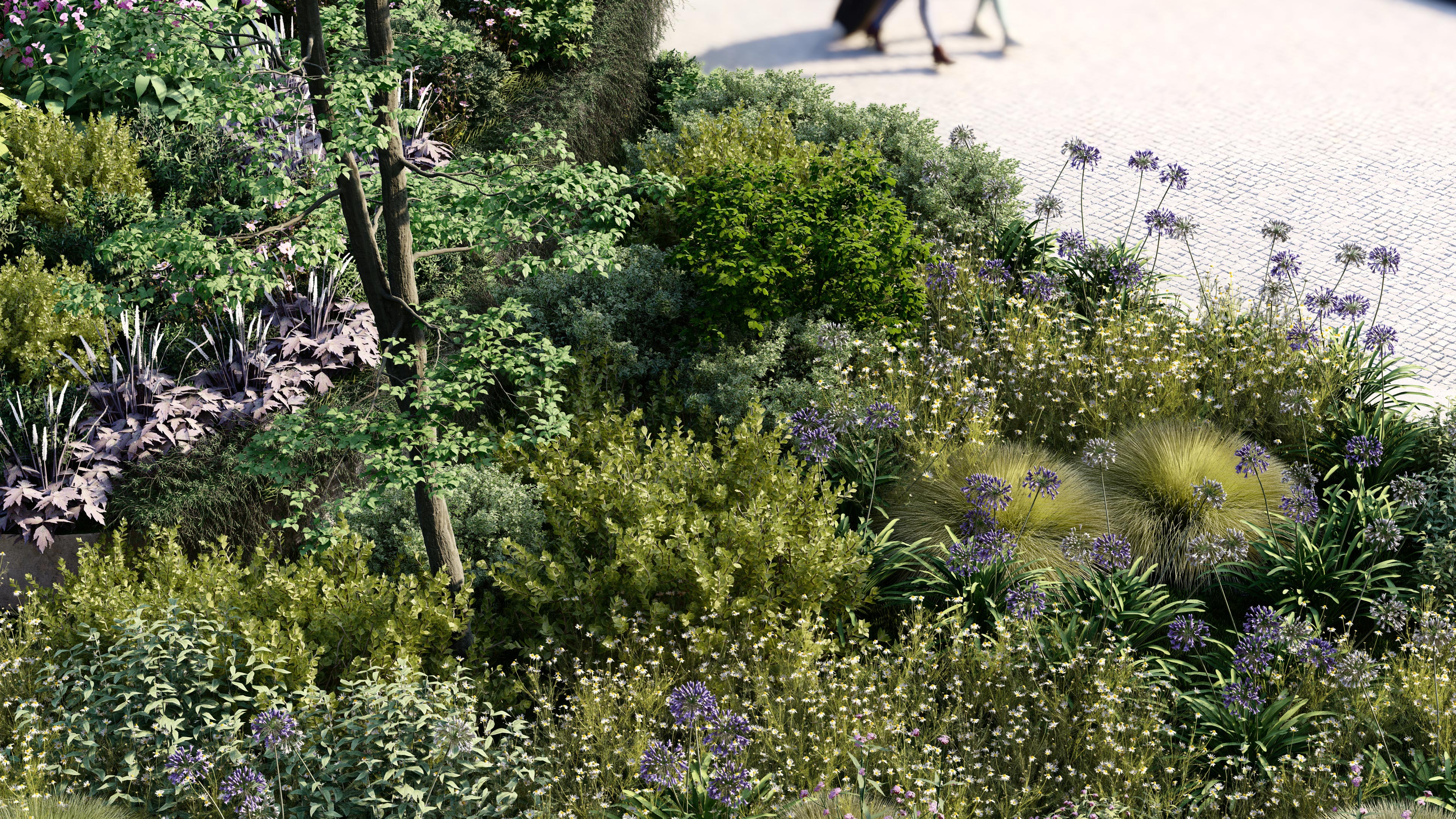 images/site/producten/Lumion/Lumion2023/Planting-C_zoom.jpg#joomlaImage://local-images/site/producten/Lumion/Lumion2023/Planting-C_zoom.jpg?width=3840&height=2160
